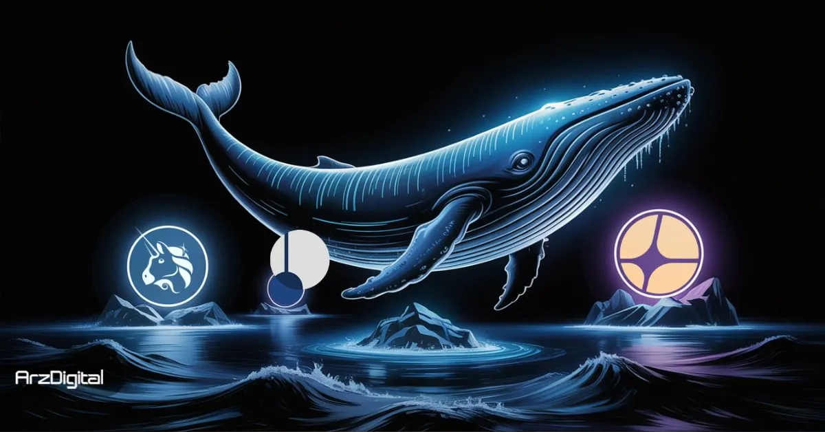 در آستانه پایان تعطیلی دولت آمریکا، نهنگ‌ها چه آلت کوین‌هایی را انباشت می‌کنند؟