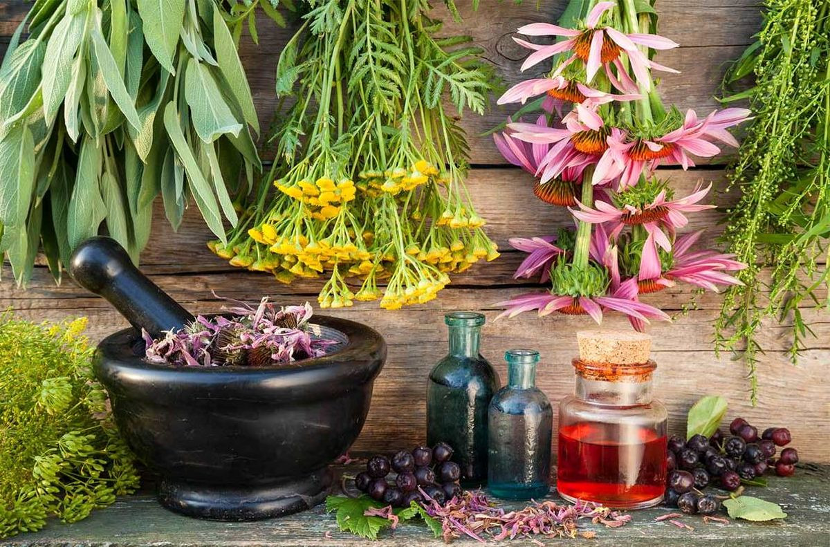 نقش گیاهان در پاکسازی خون و تاثیر کاهش مصرف محصولات حیوانی بر سلامت