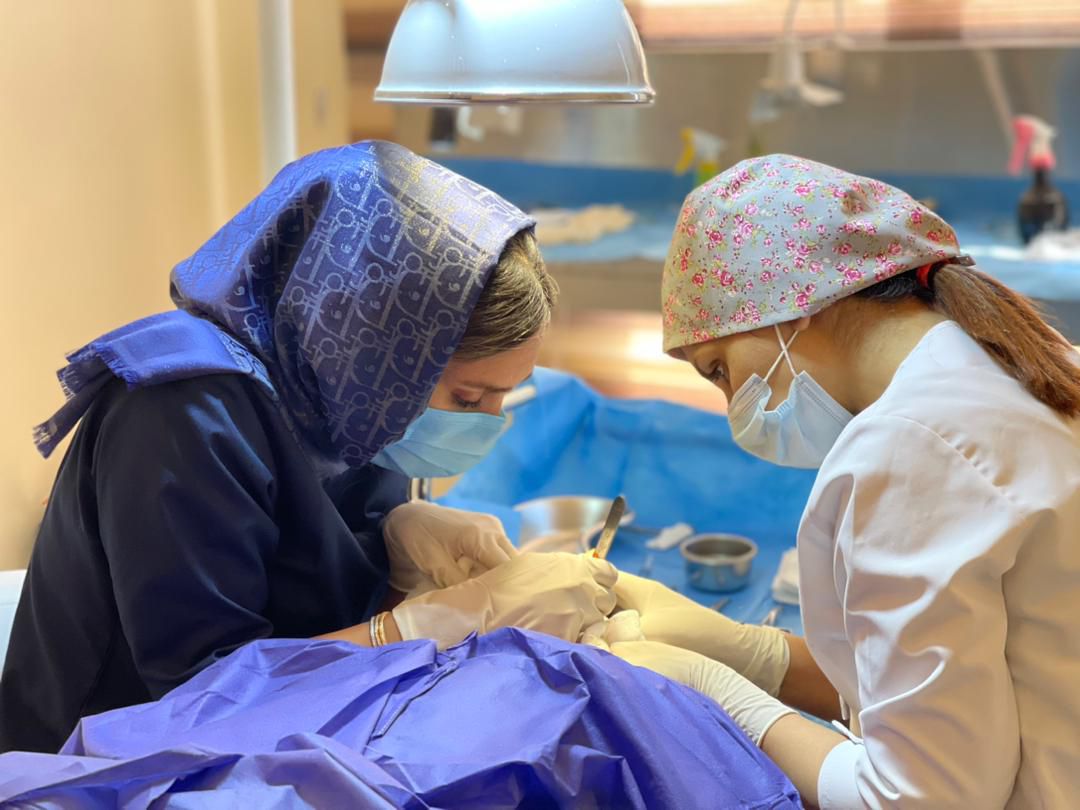 دکتر ندا سخی