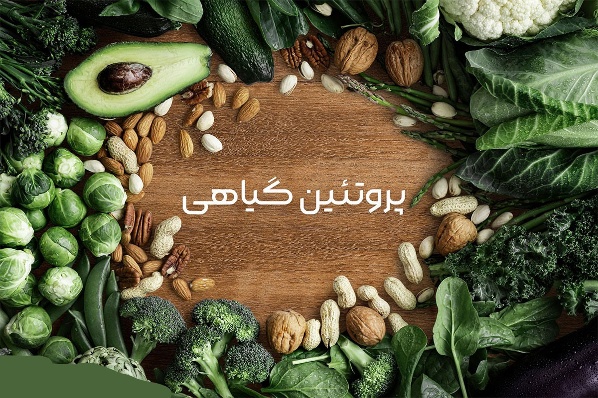 چگونه پروتئین گیاهی را در وعده‌های غذایی افزایش دهیم؟